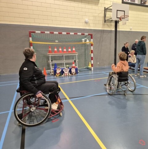 Afbeelding ONB nr 3 Rolstoelhandbal II